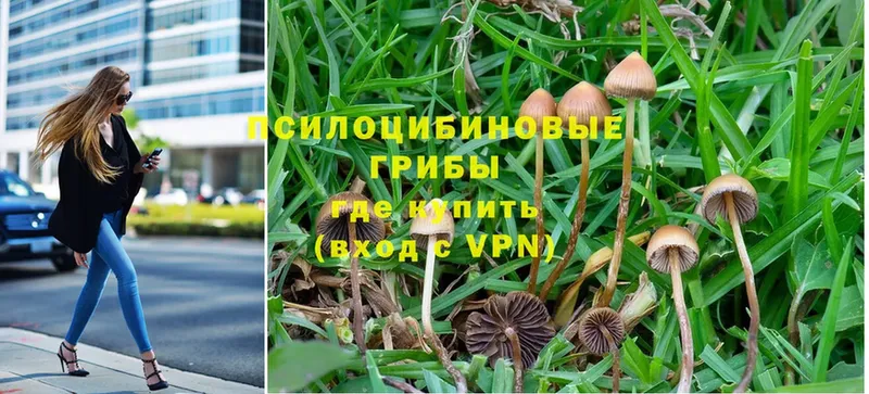 Псилоцибиновые грибы MAGIC MUSHROOMS  Красный Кут 